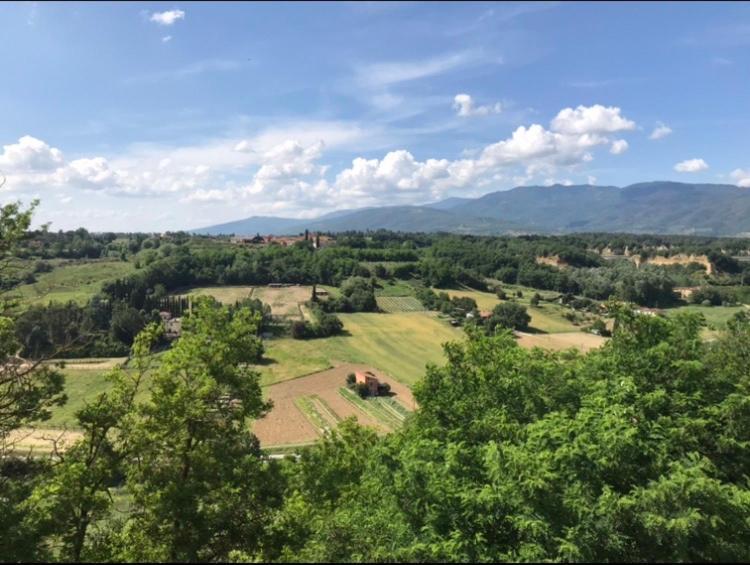 La Torretta Holiday home Laterina